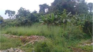ကယားပြည်နယ် ဝန်ကြီးချုပ် ဦးအယ်လ်ဖောင်ရှိုး မြေယာအငြင်းပွားမှု ကြုံနေ
