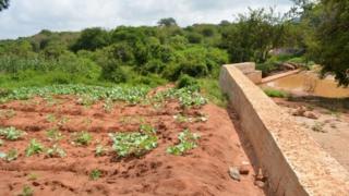 Sand dams