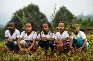 Watoto wakipanda miti Ethiopia