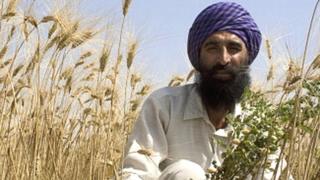 ਕਿਸਾਨ, ਖੇਤੀ ਸੰਕਟ, ਮੋਦੀ ਸਰਕਾਰ