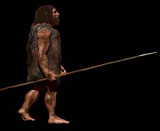 Изображение неандертальца