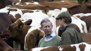 Prince Charles