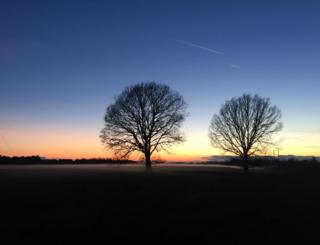 Kingston Bagpuize field and mist