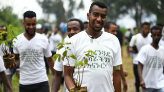 ጊነስ ዎርልድ ሪከርድስ፡ «ስለተተከሉት ዛፎች ከኢትዮጵያ የደረሰን መረጃ የለም»