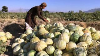 خټکي