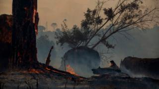 incendios en Amazonía