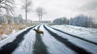 Клип, показывающий оленей на дороге в тесте теории DVSA