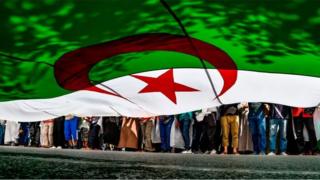 التظاهرات في الجزائر