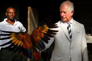 Prince Charles, Prince of Wales holds a Saint Vincent parrot during his visit to the Botanical Gardens during a visit to St. Vincent and the Grenadines on March 20, 2019 in Kingstown, St. Vincent and the Grenadines.