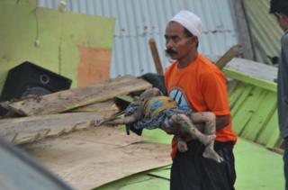 palu
