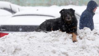 Aja kan sun lori yinyin to ga gogoro ni Moscow - 3-2-2018
