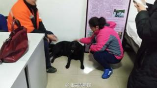 地元の警察署で保護されたチャオチャオ