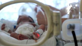 Baby photo file in the incubator