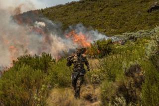 A soldier from the Kenyan army fights a fire on 1 March 2019 in Mount Kenya national park.