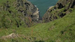 Mwnt