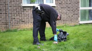 Police officer picks up a dead cat