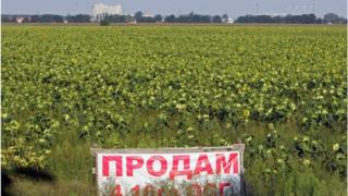 Официально украинская земля не продается, но почти вся она уже имеет владельцев