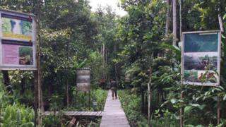 jumpun pambelom