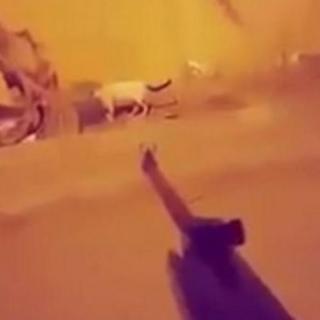 Ninkan ayaa barta Snapchat soo dhigay isaga oo tooganaya Bisado