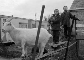 Two boys with a chicken and a goat