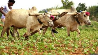 किसान, क़र्ज़, रिज़र्व बैंक