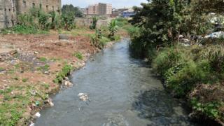 ኣብ ናይሮቢ ካብ ዝርከቡ ሩባታት እቲ ሓደ