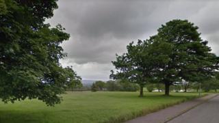 field on