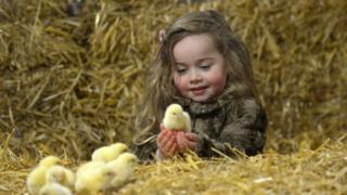 Child with chick