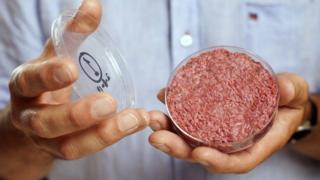 This is the world's first lab-grown beef burger in 2013 made in a Petri dish