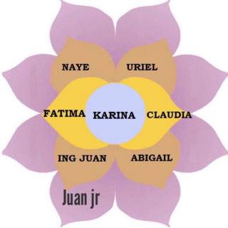 Esquema gráfico de la flor de la abundancia