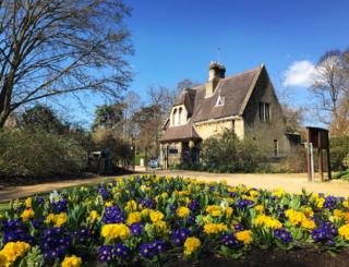 University Parks, by the Norham Gardens entrance