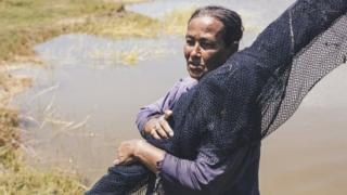 Imagen tomada en Jaboatão dos Guararapes, Pernambuco, Brazil, 2015, en una de las zonas donde la esquistosomiasis es endémica