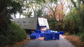 Sat-nav lorry spills pig flesh on Devon road - BBC News