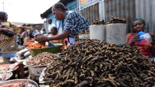 Les chenilles sont consommées dans plusieurs d'Afrique, dont la RDC.