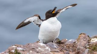 Glasgow & West Scotland | Latest News & Updates | BBC News