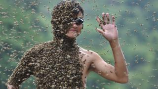 A bee keeper wearing thousands of bees during a bee competition in China