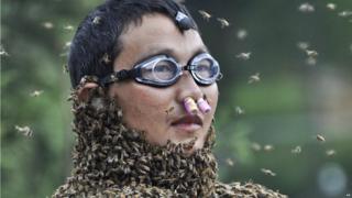 A bee keeper during a bee competition in China