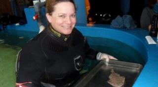 Tina Aydon, a shark expert, holds tray with baby shark on
