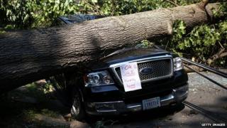 Car crushed by fallen tree.