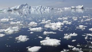 Arctic sea ice (Image: BBC)