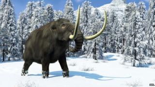Giant wooly mammoth