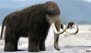Artist's impression of a woolly mammoth