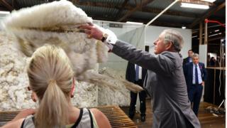 Prince Charles visits a sheep farm in Australia