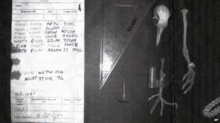 WWII pigeon message still a mystery