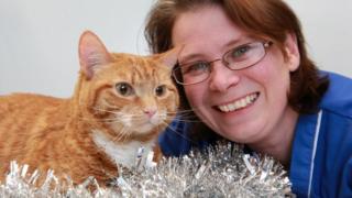 Ginge the cat with a PDSA nurse