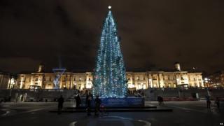 Christmas tree in Trafalgar Square, London.