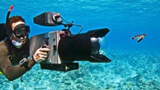 A cameraman films a baby turtle swimming underwater