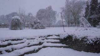 Scene of a snowy garden