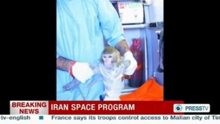 Monkey 'sent into space' by Iran