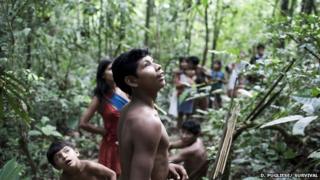 Illegal Loggers Continue To Threaten Amazonian Tribe Bbc News